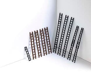 BUS7786 10 step ladders