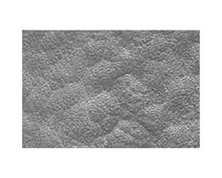 PLS91803 (WPSB-408P) Choppy Water Sheet 228.6x152.4mm