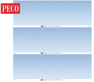 SK-P02 SKP-02 Plain Sky Photographic Backscene