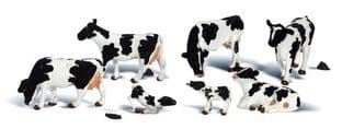 WA2724 O Holstein Cows