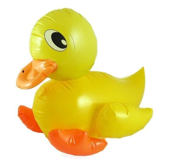 5 Below Inflatable Duck Inflatable Duck