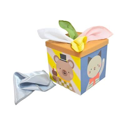 Play & Discover Cube