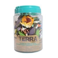 Terra Tropical Fish in Jar