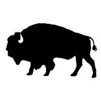 38mm Dark Brown Genuine Buffalo Hide Snap Fit Leather Belt 1.5 inches wide