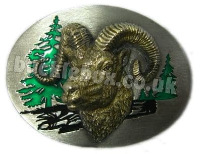 3D RAM'S HEAD BELT BUCKLE + display stand