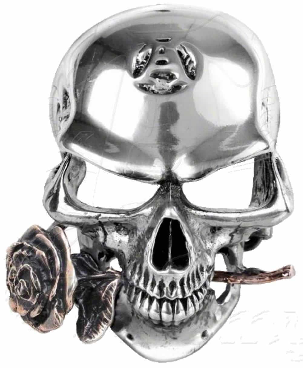 Alchemy Gothic Alchemist Rex Belt Buckle with display stand Code WK3