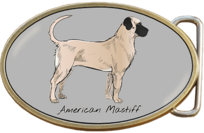 American Mastiff Dog Belt Buckle. Code A0042