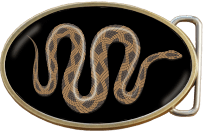 Anaconda Snake Buckle. Leather belt optional. Code A0103