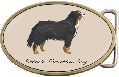 Bernese Mountain Dog Belt Buckle. Code A0068