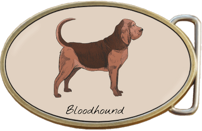 Bloodhound Dog Belt Buckle. Code A0066