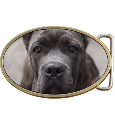 Cane Corso Dog Belt Buckle. Code A0080