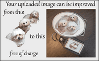 Custom Personalised Design Your Own Belt Buckle. Image and/or Text