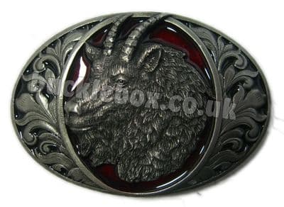 GOAT'S HEAD BELT BUCKLE + display stand