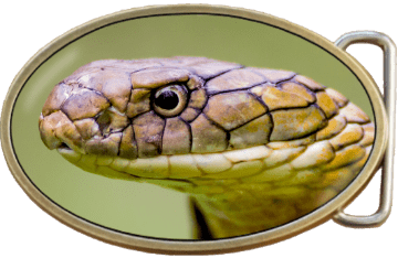King Cobra Snake Belt Buckle. Code A0073