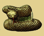 RATTLE SNAKE (2) BELT BUCKLE + display stand