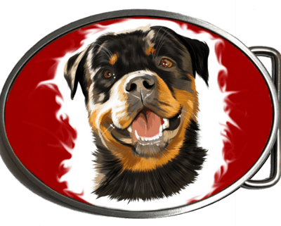 Rottweiler German Pedigree Dog Belt Buckle. Code:A0163