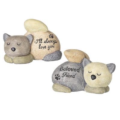 Beloved Friend (CAT)