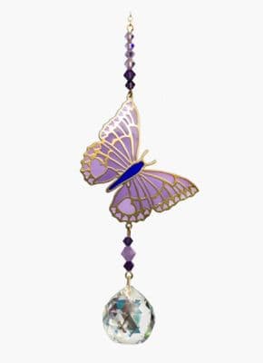 Butterfly Purple Emperor