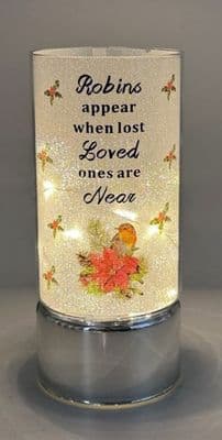 Christmas Robin LED Tube Light Loved Ones