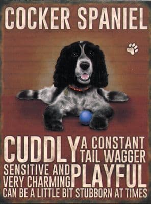 Cocker Spaniels