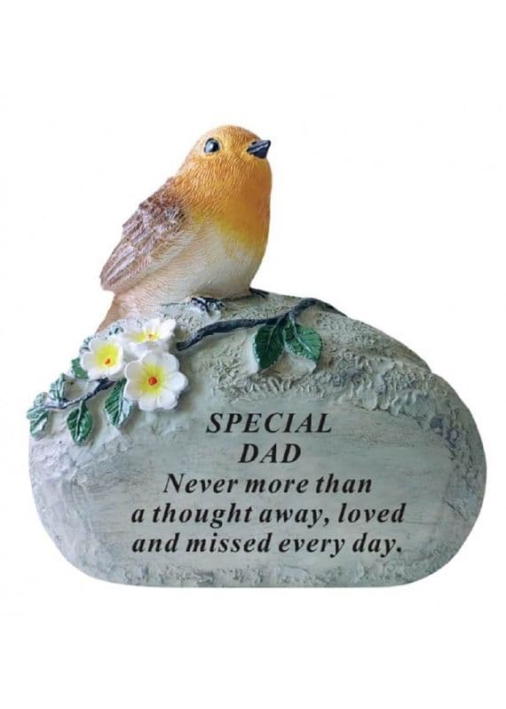 Dad Robin On Rock