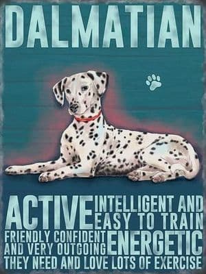 Dalmatian