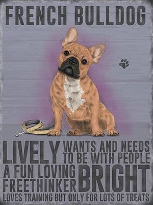 French Bulldog