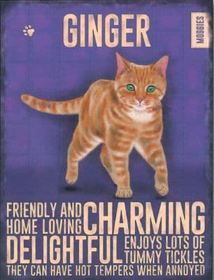 Ginger Cat