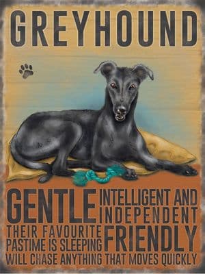 Greyhounds