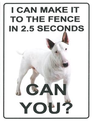 I can make the fence in 2.5 seconds