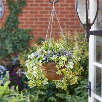 Lilac Bloom Hanging Basket
