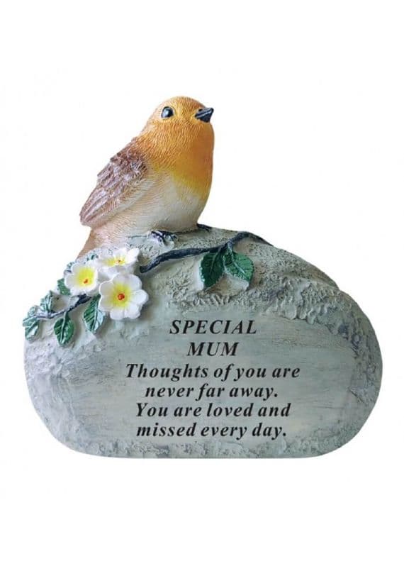 Mum Robin On Rock