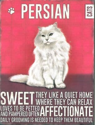Persian Cat
