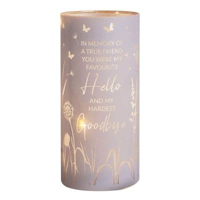 Pet,  Friend Goodbye LED Tube Light