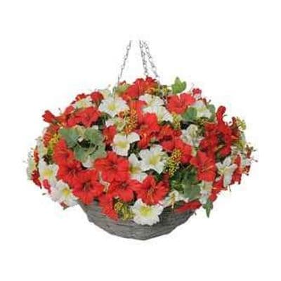 Petunia Hanging Basket Red/White 40 cm