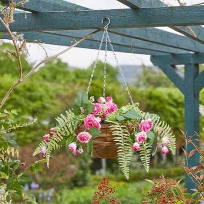 Pink Perfection Hanging Basket