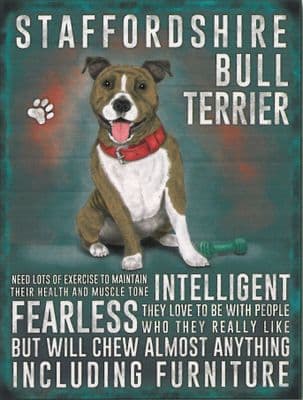 Staffordshire Bull Terrier