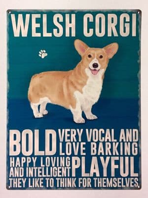 Welsh Corgi