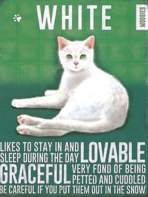 White Cat