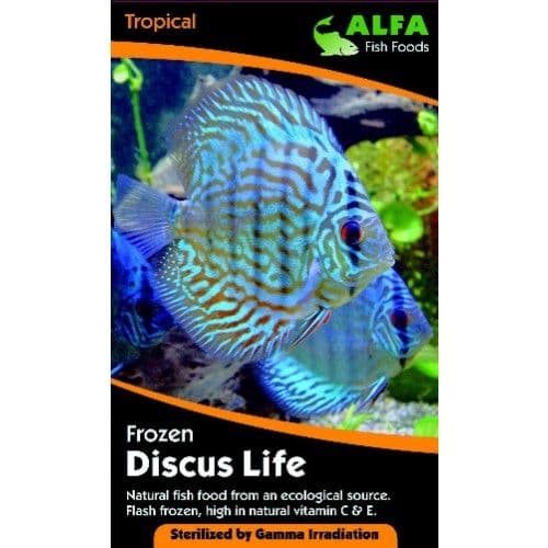 Frozen Discus Food 100g x 10 packs Pre order