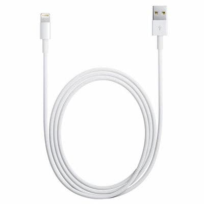 Genuine Apple Lightning Charger Cable MD818ZM/A