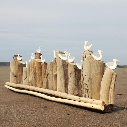 A Colony of Seagulls on Driftwood