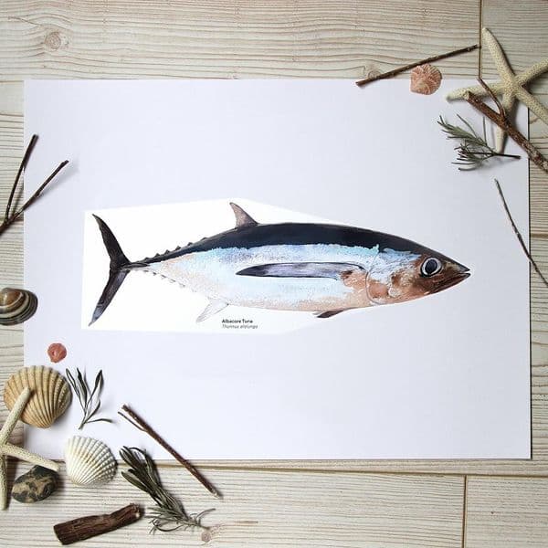 Albacore Tuna Fish Print | Martyn Warren | Thunnus Alalunga