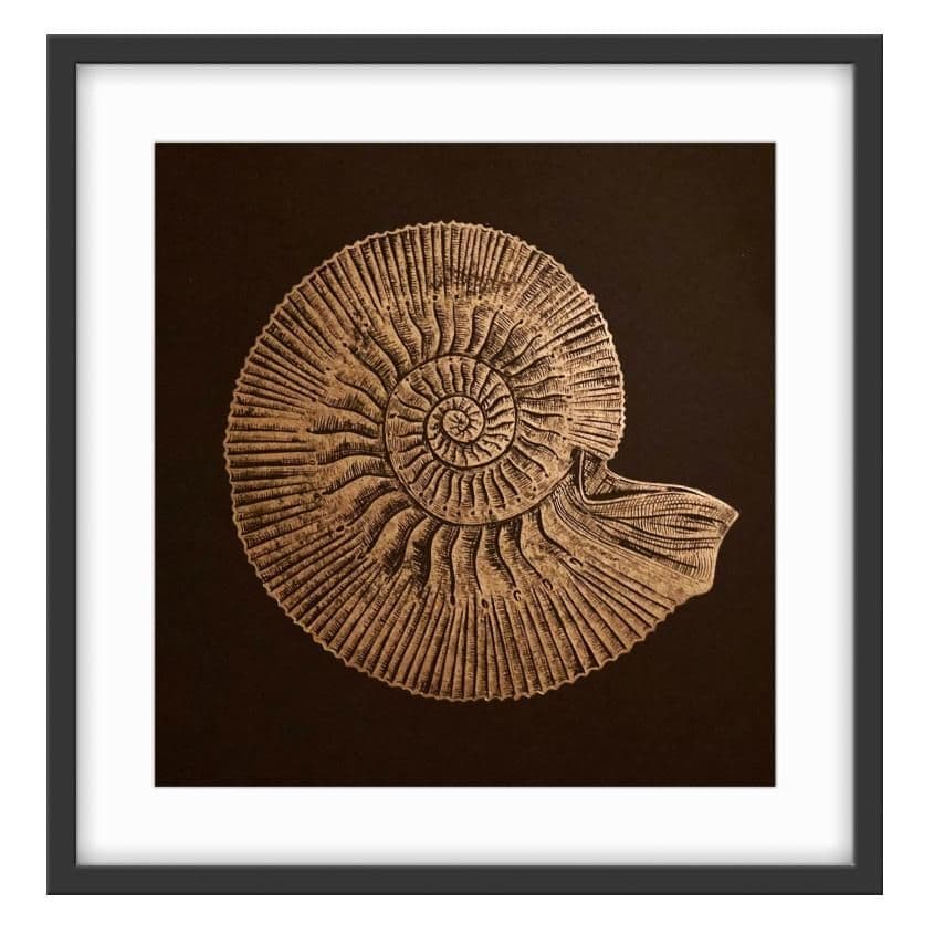 Ammonite - Linocut Print