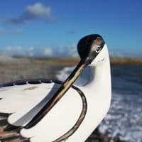 Hand Carved Wooden Avocet Preening | Hand Carved Birds | Bird Carving