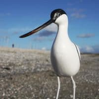 Hand Carved Wooden Avocet Standing | Hand Carved Birds | Bird Carving