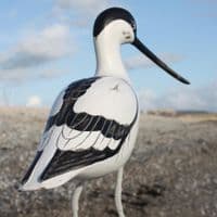 Hand Carved Wooden Avocet Standing | Hand Carved Birds | Bird Carving