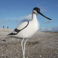Hand Carved Wooden Avocet Standing | Hand Carved Birds | Bird Carving
