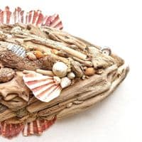 Big Driftwood Fish | Wall Hanging | Rachel White