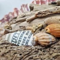 Big Driftwood Fish | Wall Hanging | Rachel White
